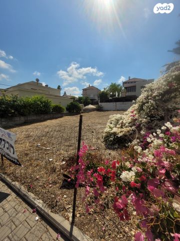 שלמה פומבורובסקי 