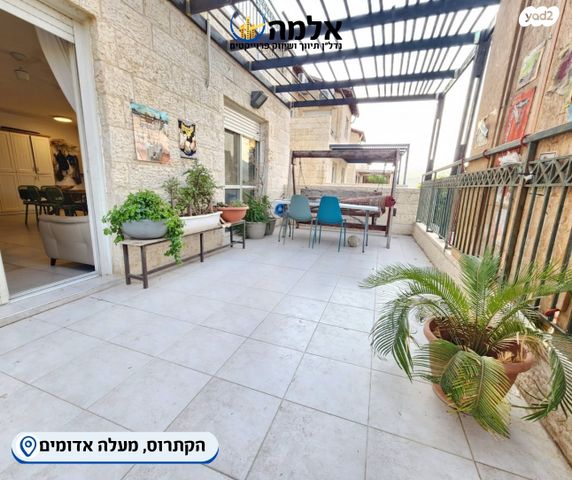 דופלקס, מבוא הקתרוס, כלי שיר, מעלה אדומים