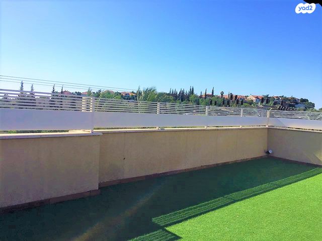 דופלקס, אורנית