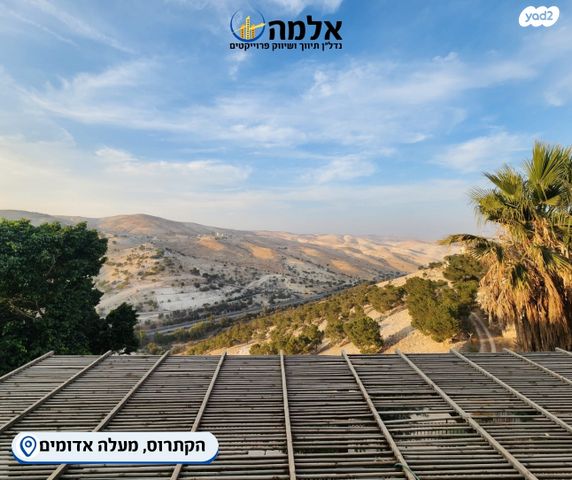 דופלקס, מבוא הקתרוס, כלי שיר, מעלה אדומים