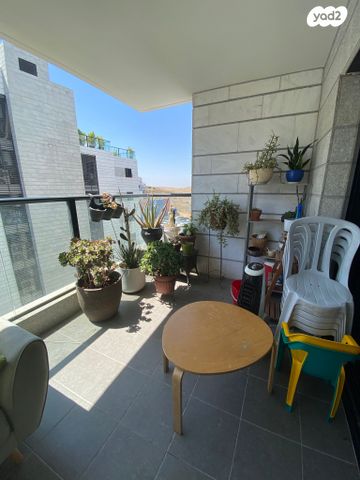 דירה, מרים הנביאה, פסגות אפק, ראש העין