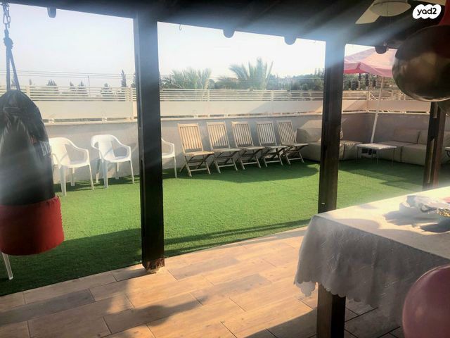 דופלקס, אורנית