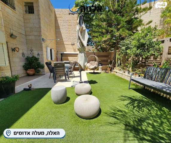 דו משפחתי, האלה, צמח השדה, מעלה אדומים