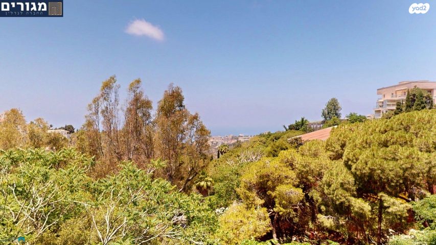 דירה, שדרות הנשיא, חיפה