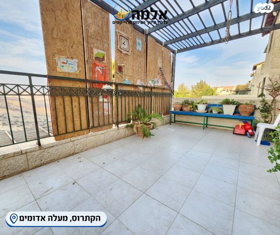 דופלקס, מבוא הקתרוס, כלי שיר, מעלה אדומים