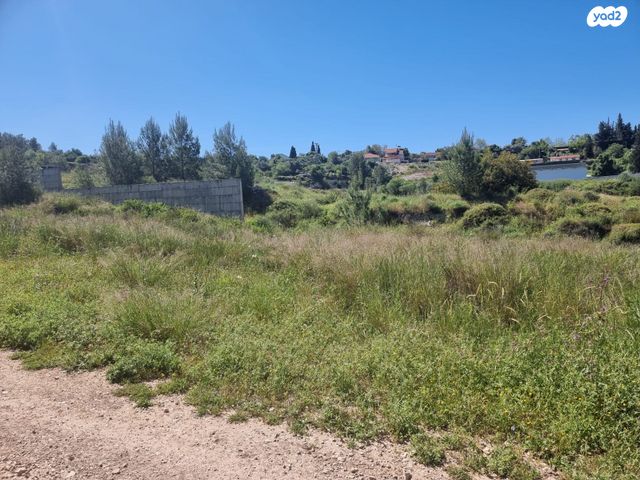 מגרשים, נחם