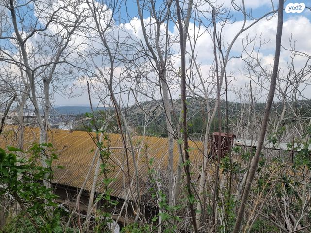 בית פרטי/ קוטג', בית מאיר