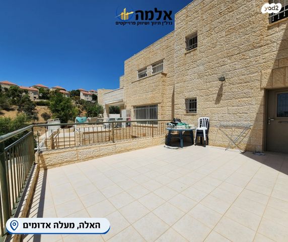 דו משפחתי, האלה, צמח השדה, מעלה אדומים