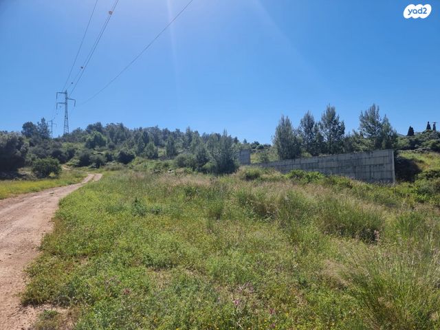 מגרשים, נחם