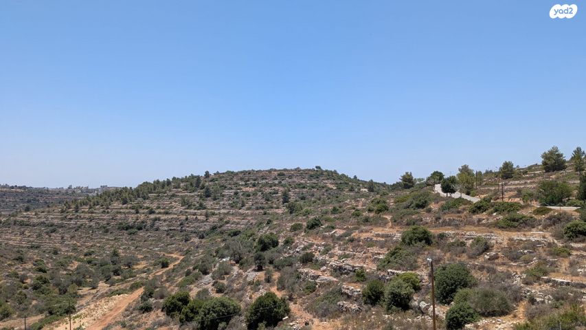 דירה, טלמון