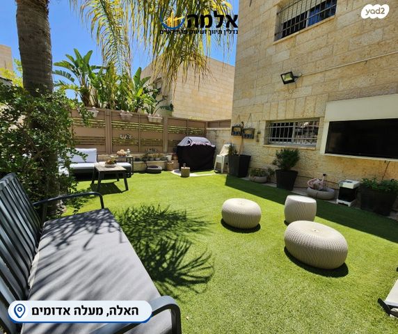 דו משפחתי, האלה, צמח השדה, מעלה אדומים