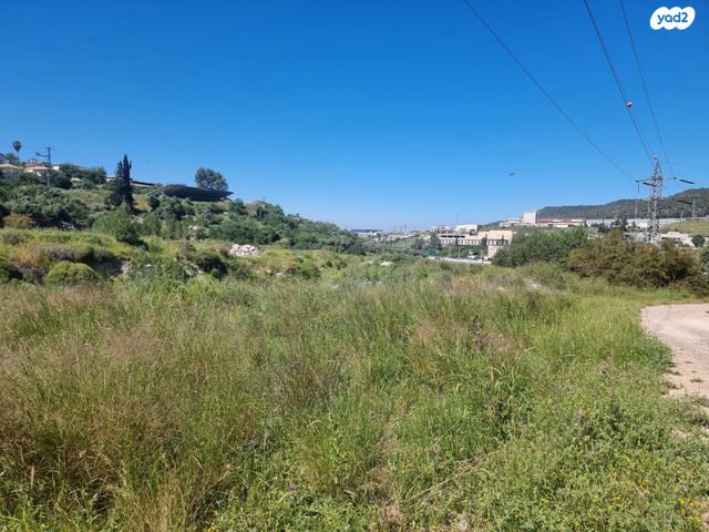 מגרשים, נחם