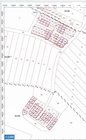 מגרשים, אחוזם