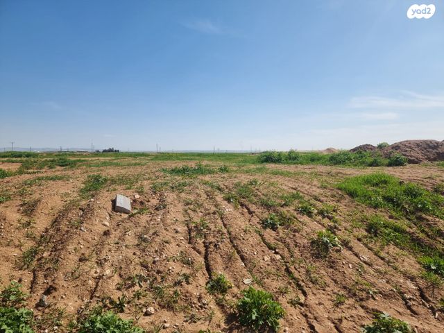 מגרשים, אחוזם