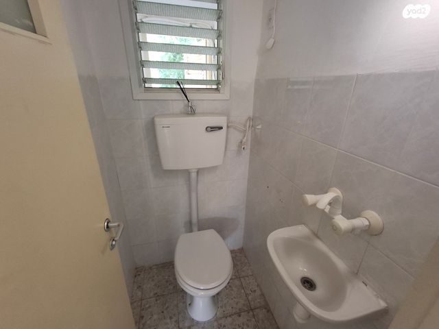 דירה, איילת השחר