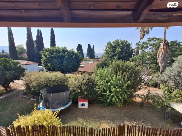 דירה, איילת השחר