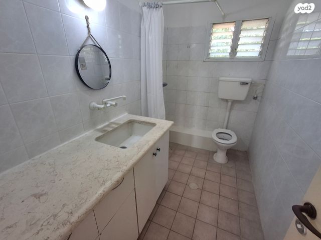 דירה, איילת השחר