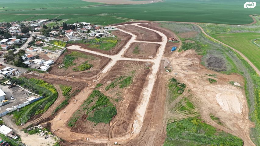 מגרשים, זוהר