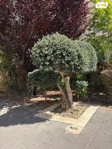 דירה, גבעת משואה, ירושלים