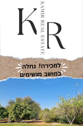 מגשימים
