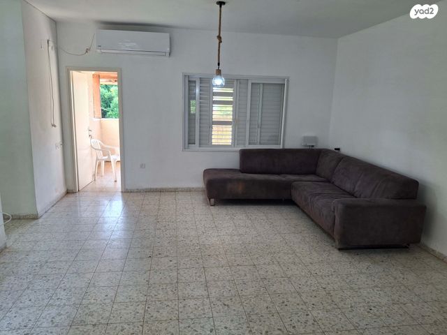 דירה, איילת השחר