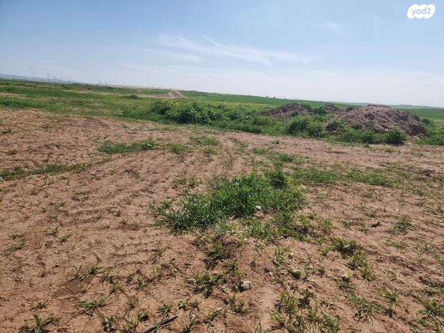 מגרשים, אחוזם