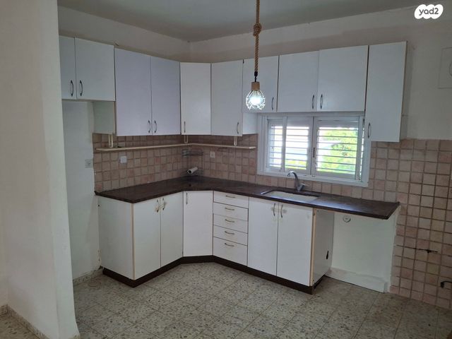 דירה, איילת השחר