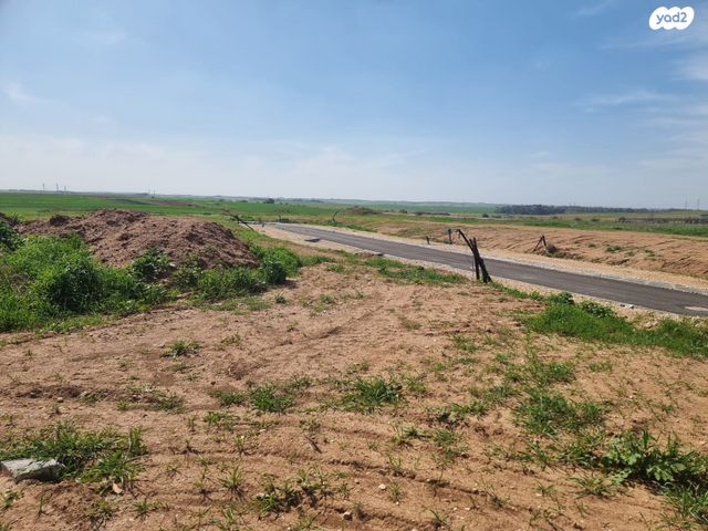 מגרשים, אחוזם