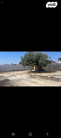 משק חקלאי/ נחלה, זוהר