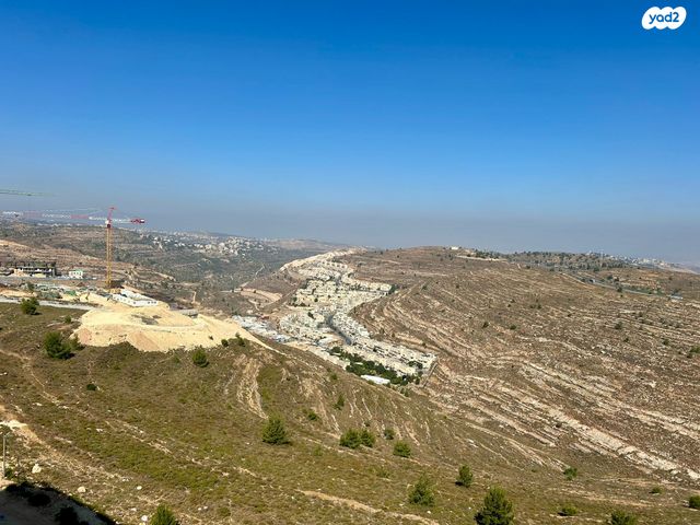 פרחי בר 