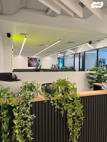 משרדים, תוצרת הארץ, פתח תקווה