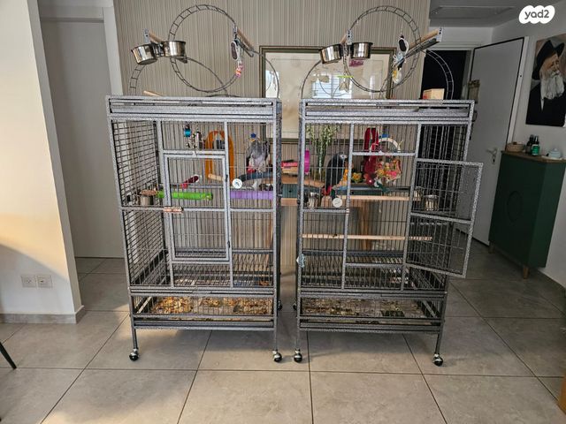 אביזרים | כלוב האכלת יד