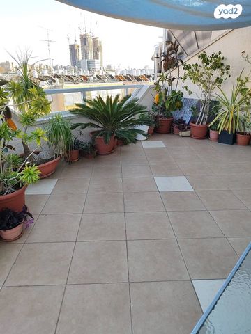 הנביאים 26