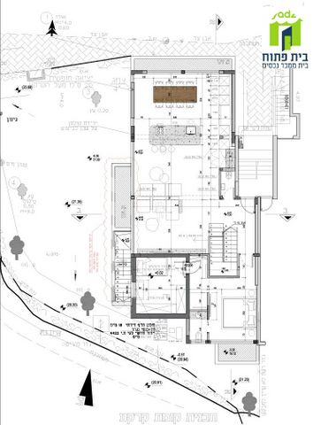 צמחי היהודים 