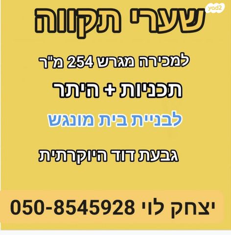 מגרשים