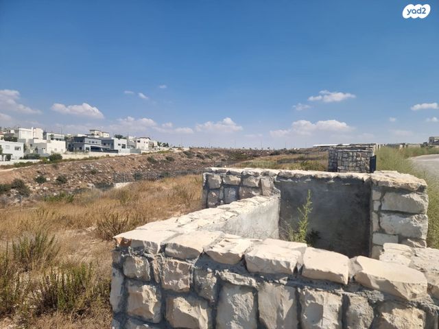 מגרשים, בני דקלים