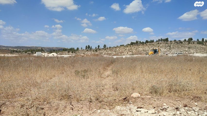 מגרשים