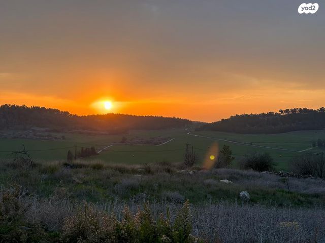 מגרשים, גבעות עדן