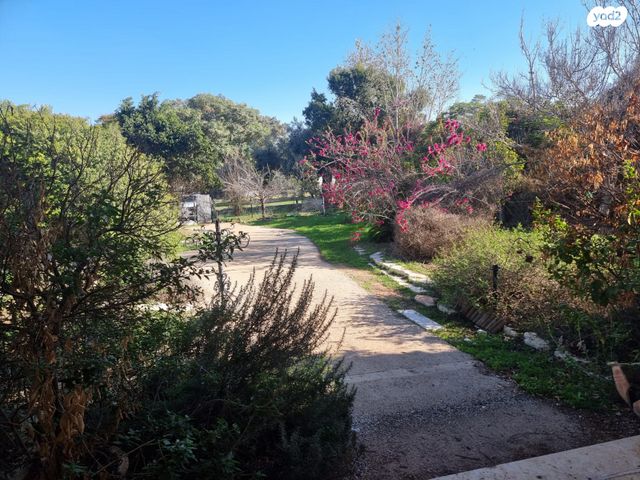 משק חקלאי/ נחלה, תירוש, שקף