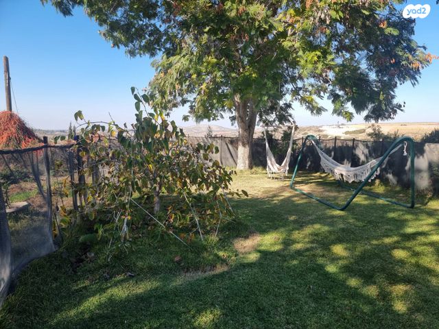 משק חקלאי/ נחלה, תירוש, שקף