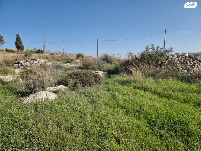 מגרשים, גבעות עדן