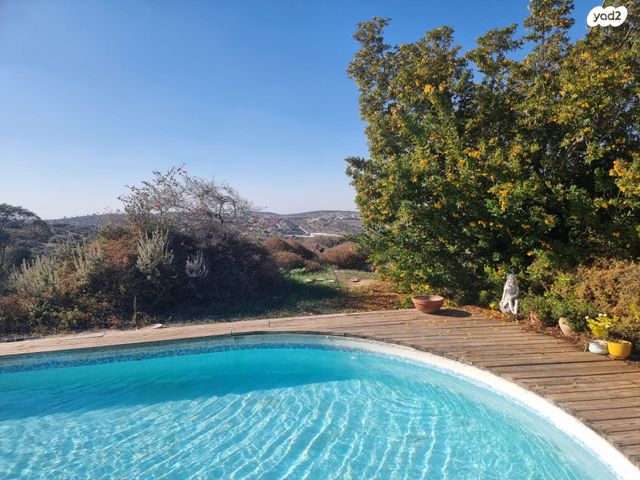 משק חקלאי/ נחלה, תירוש, שקף