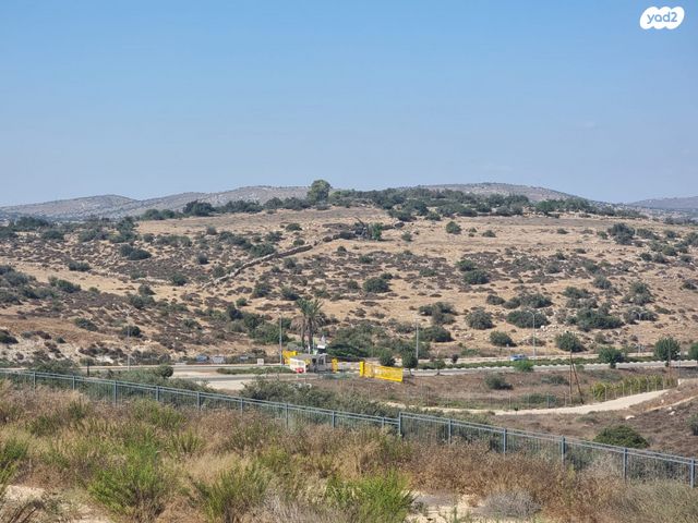 מגרשים