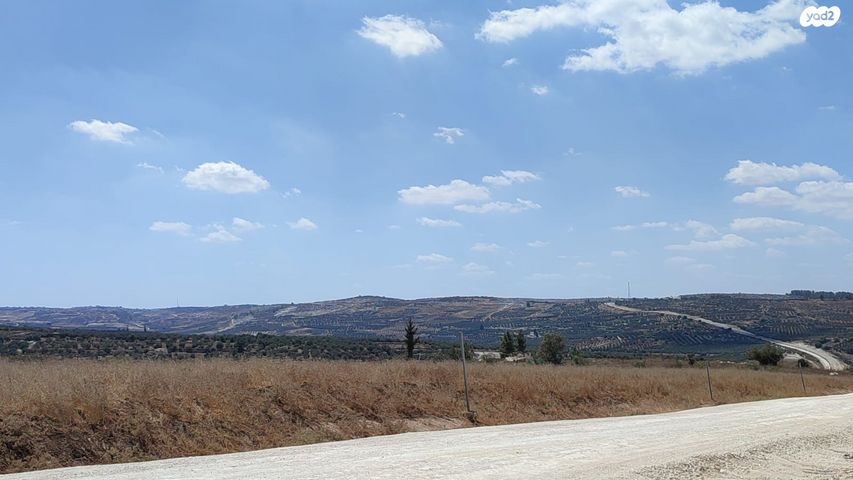 מגרשים, גבעות עדן