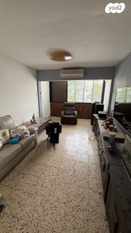 איילת השחר 4