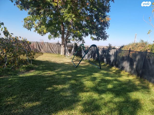 משק חקלאי/ נחלה, תירוש, שקף