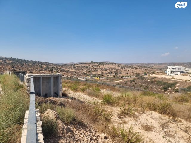 מגרשים, בני דקלים