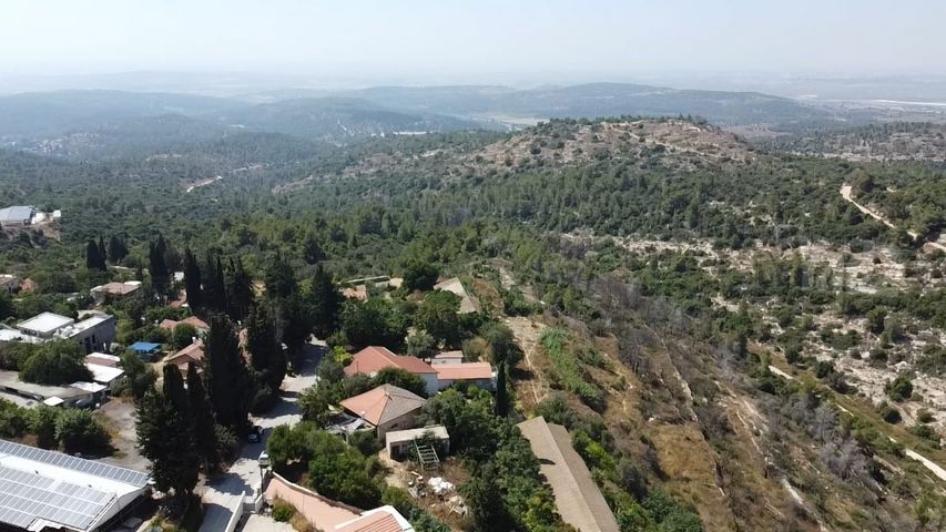 השקד 