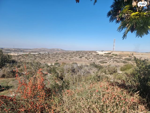 משק חקלאי/ נחלה, תירוש, שקף