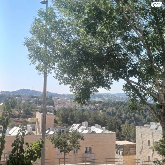 דירה, הדולב, גילה, ירושלים